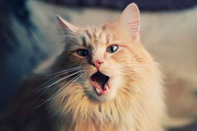 开云体育平台APP-维尼修斯爆点启示录，当韩国式防守哲学锁死芬兰，足球战术的辩证统一